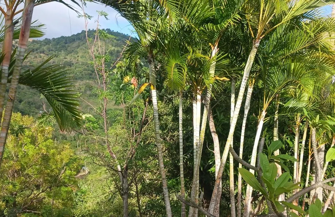Villa Almonte-1